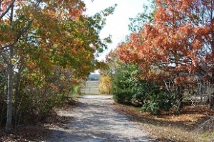 December Driveway