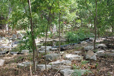 upper-pools321 upper-pools321