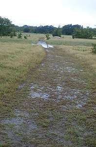 flood-near-meadow130