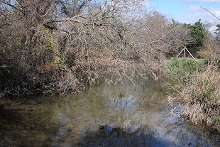 creek-upstream-north341