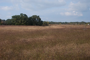 near-meadow-drainage226