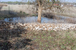 near-meadow-gabion006