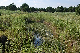 west-gully-pool050-9-2007