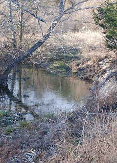 above-gravel-ford057