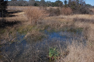 gabion-pool066