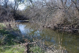 north-end-creek369
