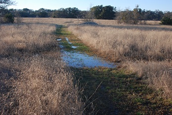 near-meadow-water034