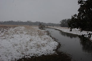 snow-drywoods-swale106