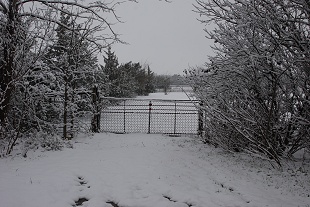 snow-pasture-gate061