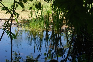 round-pool139
